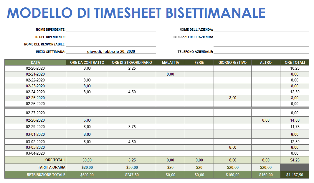  MODELLO DI TIMESHEET BISETTIMANALE