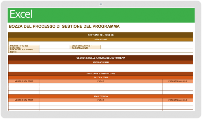 Program Management Process Draft - IT